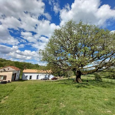 La Tuilerie Hotel Pindray Eksteriør billede